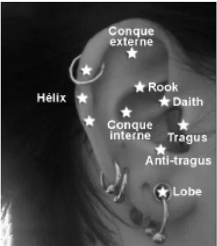 Figure 4 : Différentes zones de l'oreille pouvant être percées [2]. 
