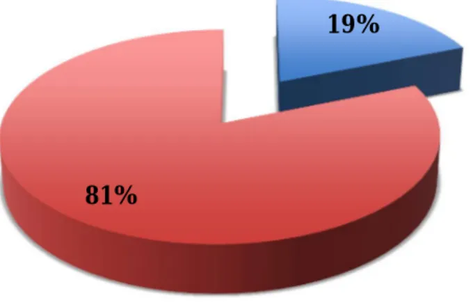 Figure 10. Répartition des participants selon le sexe.  