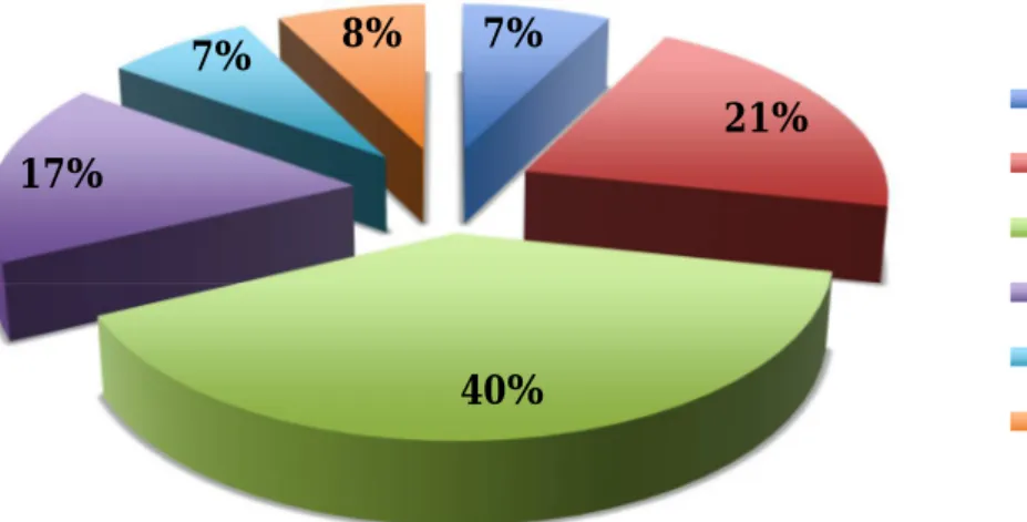 Figure 12. Répartition des participants selon leur niveau d’étude. 