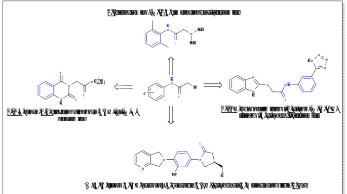 Figure 11: Structure générale des acétamides 