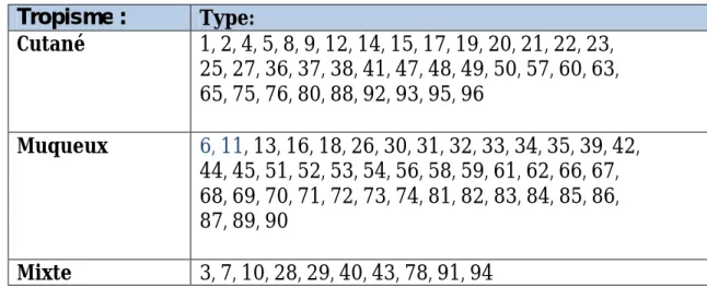Tableau III: Distribution des types d’HPV selon leur tropisme [38].  Tropisme :  Type:  Cutané  1, 2, 4, 5, 8, 9, 12, 14, 15, 17, 19, 20, 21, 22, 23,  25, 27, 36, 37, 38, 41, 47, 48, 49, 50, 57, 60, 63,  65, 75, 76, 80, 88, 92, 93, 95, 96  Muqueux  6, 11, 