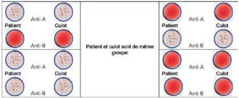 FIGURE 5 :  Réactions identiques : même groupe  