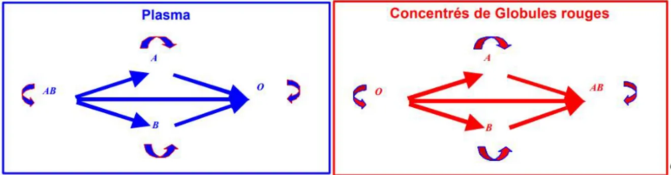 Figure N°8 : Règles de compatibilité transfusionnelle [70] 