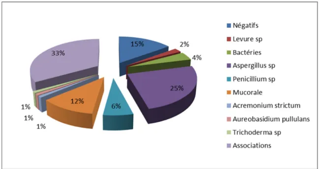 Figure 3: Répartition  des champignons isolés de l’air après la fin du programme    dans le bloc septique 