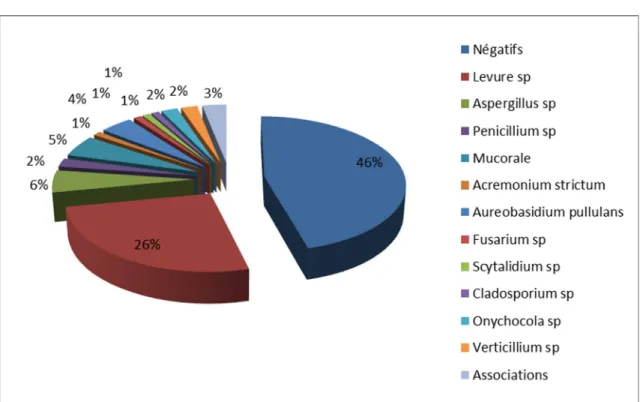 Figure 5 : Répartition  des champignons isolés du sol avant le  début   du programme  dans le bloc septique 