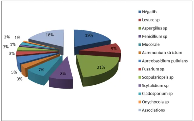 Figure 6 : Répartition  des champignons isolés du sol après la fin du programme   dans le bloc septique 