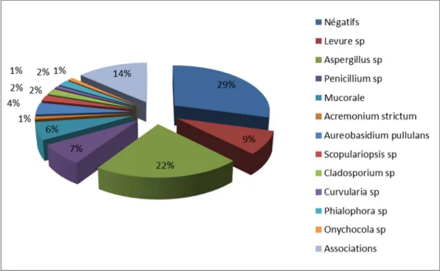 Figure 9: Répartition  des champignons isolés de la table   après la fin du programme  dans le bloc septique 