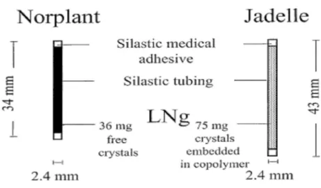 Figure 8: Dessin de chaque unité de Norplant et de Jadelle  de LNG. (13) 