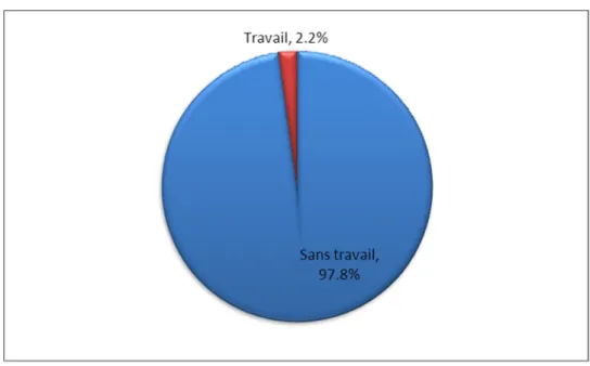 Figure 5 : Répartition des patientes selon le travail. 