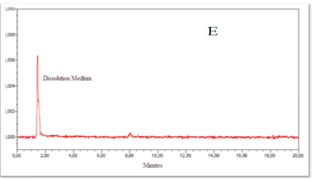 Figure 8. Chromatogram E: DS product C (generic 2)  in acid stage medium (HCl 0.1 N)   