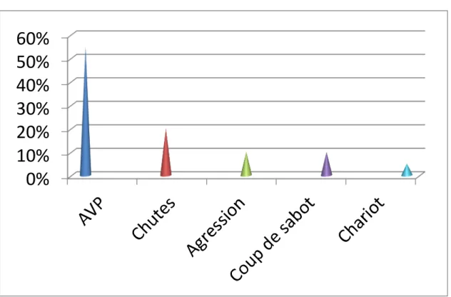 Graphique 3 : Répartition des étiologies 