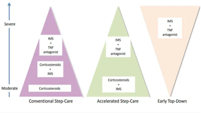 Figure 8 : Différentes stratégies thérapeutiques utilisées dans la MC 