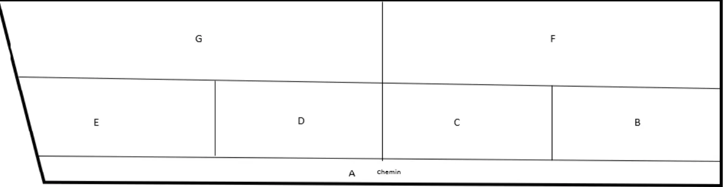Figure 10 : Interventions techniques et rotations des porcs sur les sous parcelles, bande 2019B Figure 9 : Schéma de la parcelle Donvallier (DO1) 
