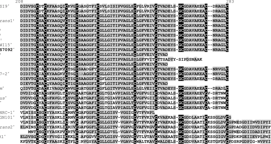 Figure 24. Alignement multiple, obtenu à l’aide du programme ClustalW, de la séquence en acides aminés de HalC8