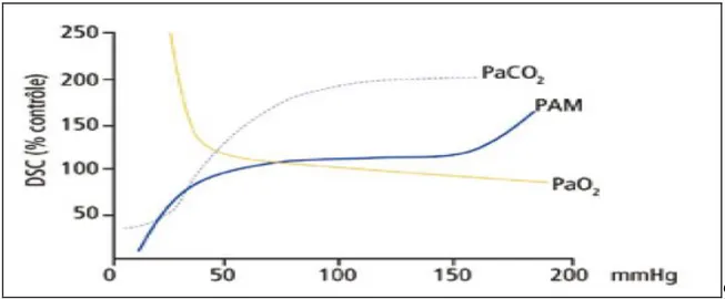 Figure 3 : Influence de la Pa0₂, PaCO₂ et de la PAM sur le DSC 