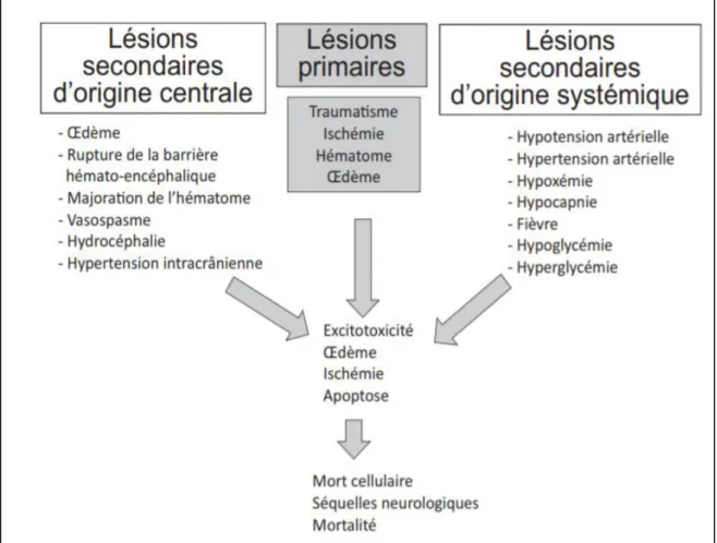Figure 6 : Agressions primaires et secondaires 