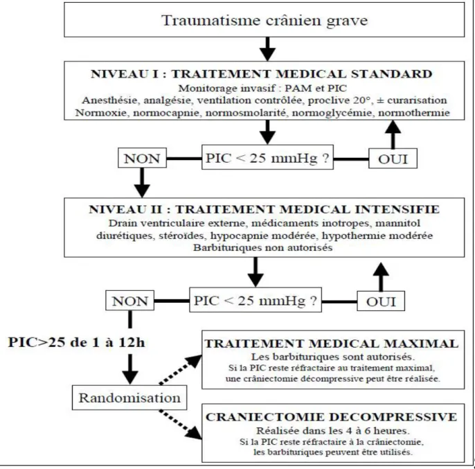 Figure 10 : Les différentes lignes thérapeutiques de l’HTIC 