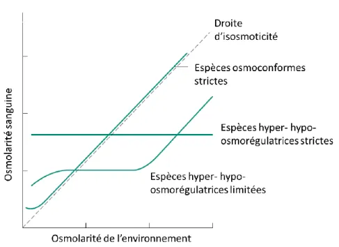 Fig. 8 : Stratégies d’osmorégulation en fonction de l’osmolarité du milieu extérieur 