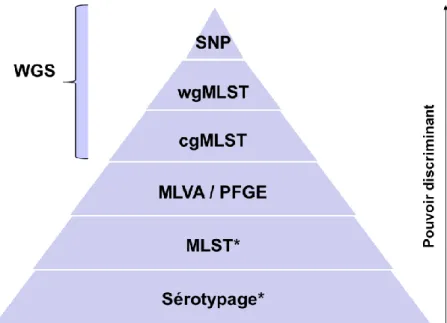 Figure 3 - Pouvoir discriminant des méthodes analytiques utilisées au sein de l'unité SEL 