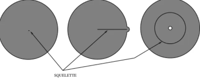 Fig. 1.12 - Illustration de la sensibilit´ e du squelette au bruit sur la forme.