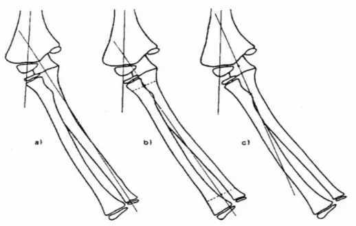 FIGURE 12 : traces des axes