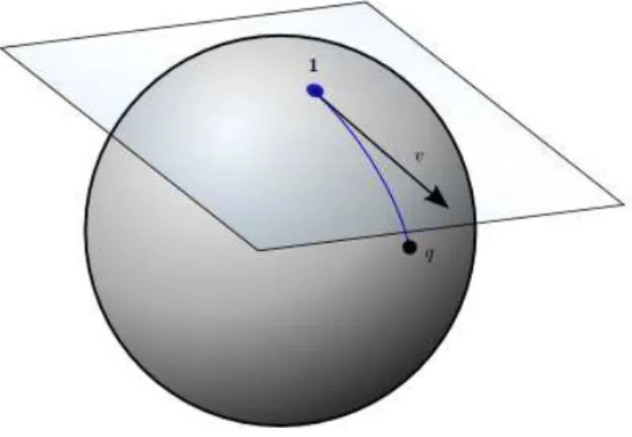 Figure 3.2. L’espace tangent à la sphère S 2 , T 1 (S 2 )