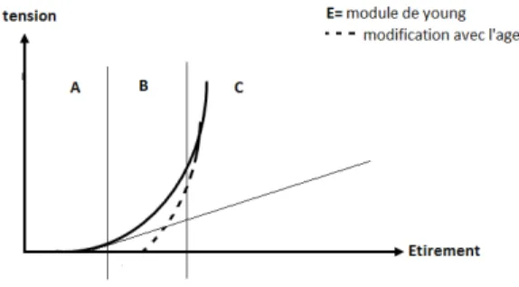 Figure 7 : Etude des propriétés mécaniques du derme (d’après DALY – 31) 