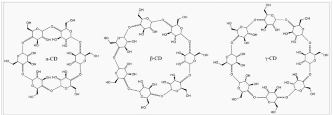 Figure  3 : Structure de -CD, -CD et -CD 
