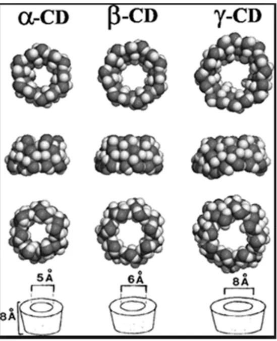 Figure 6: Structures tridimensionnelles des cyclodextrines naturelles (α -, β, et γ -CD de  gauche à droite), avec de haut en bas: une vue de la face des hydroxyles secondaires (&#34;grand  côté&#34;), une vue latérale et, une vue de la face des hydroxyles