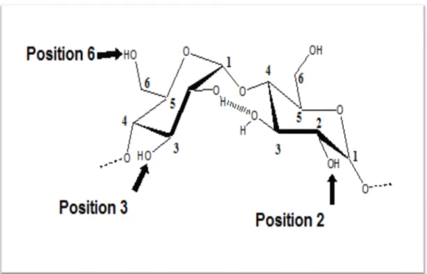 Figure  9 : liaison hydrogène intramoléculaire 
