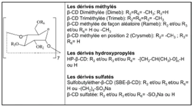 Figure 12 : Structure chimique des dérivés de βCD 