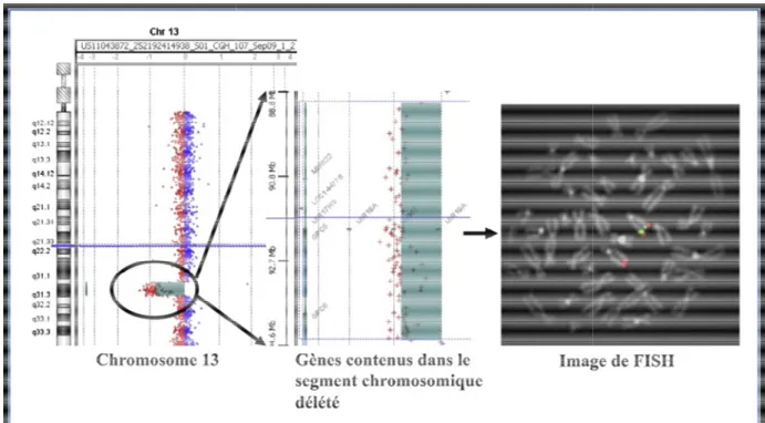 Figure 12 : Exemple de résultat de la