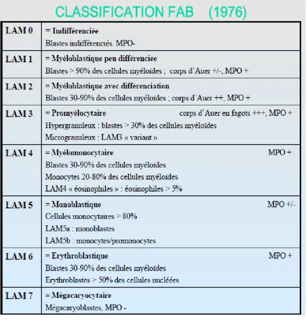 Tableau II : classification FAB des LA [18] 