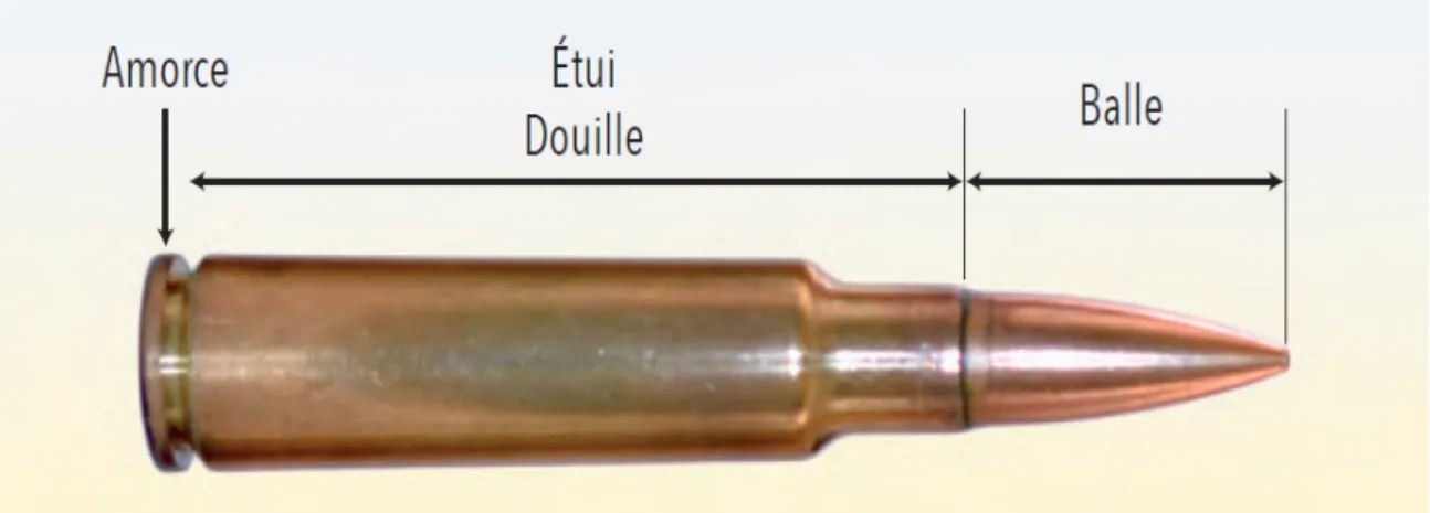 Figure 2: Schéma d’une cartouche 