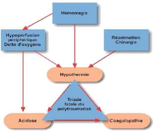 Figure 4:  La triade létale de Moore 
