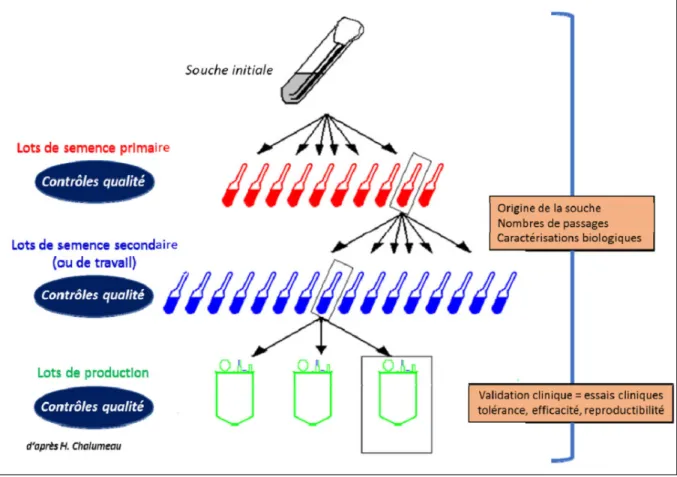 Figure 5 :  Le système de lot de semence (52) 