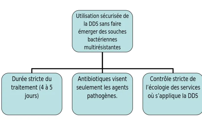 Figure 4: les conditions de sécurité à l’application de la décontamination digestive sélective   [2]