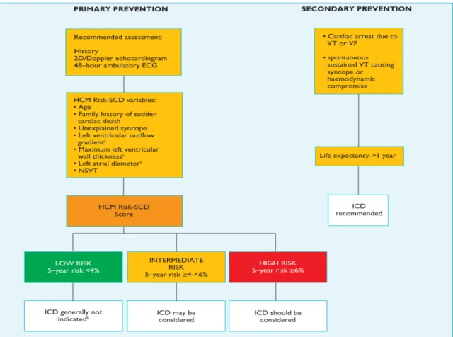 Figure 6 : Organigramme pour l'implantation ICD. ESC 2014 