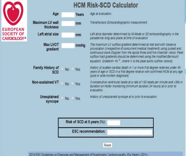 Figure 7: score pour calculer le risque de mort subite 