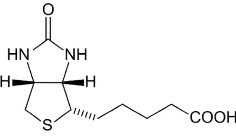 Figure 2. La structure chimique de la biotine 