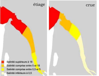 Figure 3 : Gradient de salinité dans  l'estuaire de la Gironde. Limites  approximatives des 3 secteurs halins à  l'étiage (Q = 300 m 3 .s -1 ) et en crue (Q = 3  000 m 3 .s -1 ) (d’après Chaalali 2013)