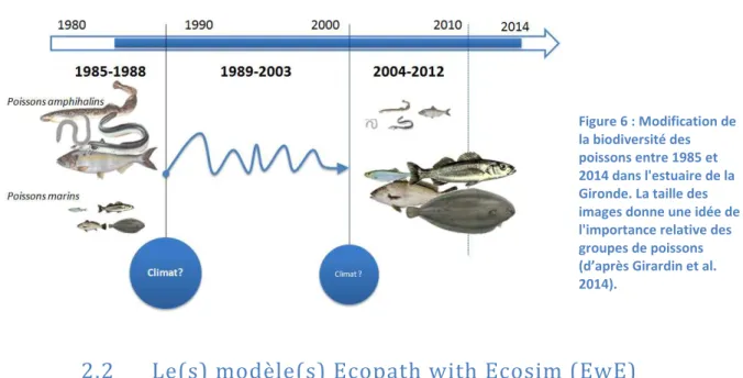 Figure 6 : Modification de  la biodiversité des  poissons entre 1985 et  2014 dans l'estuaire de la  Gironde