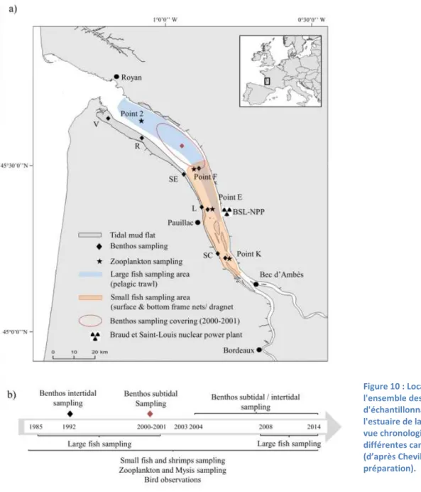 Figure 10 : Localisation de  l'ensemble des sites  d'échantillonnage sur  l'estuaire de la Gironde et  vue chronologique des  différentes campagnes  (d’après Chevillot et al