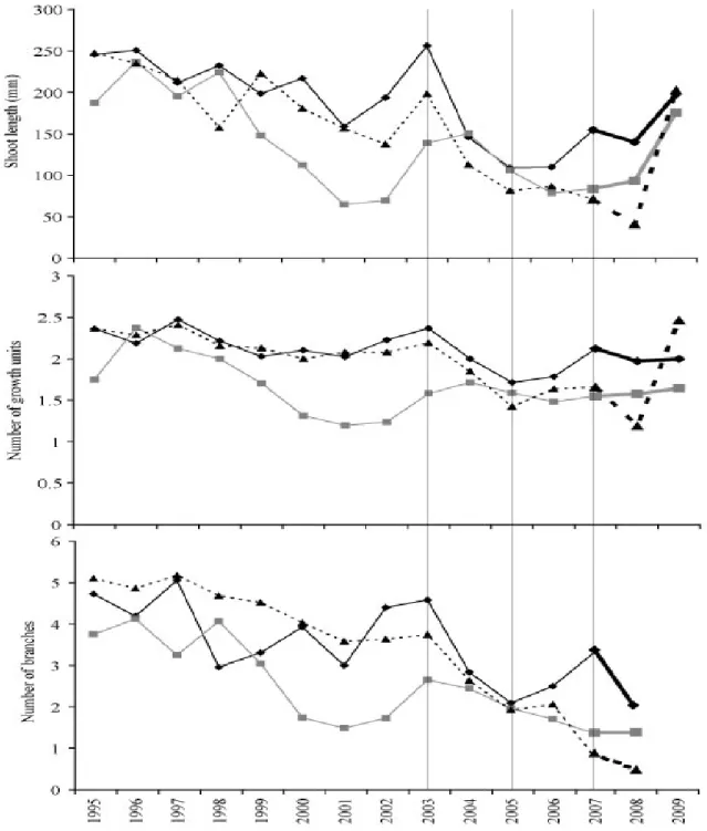 Figure  3.3  Evolution  of  the  shoot  development  variables:  shoot  length,  number  of  growth  units,  and  number  of  branches  at  Saint-Mitre  (dashed  line/triangles),  Font  Blanche  (solid  black  line/diamonds),  and  Siou  Blanc  (gray  line