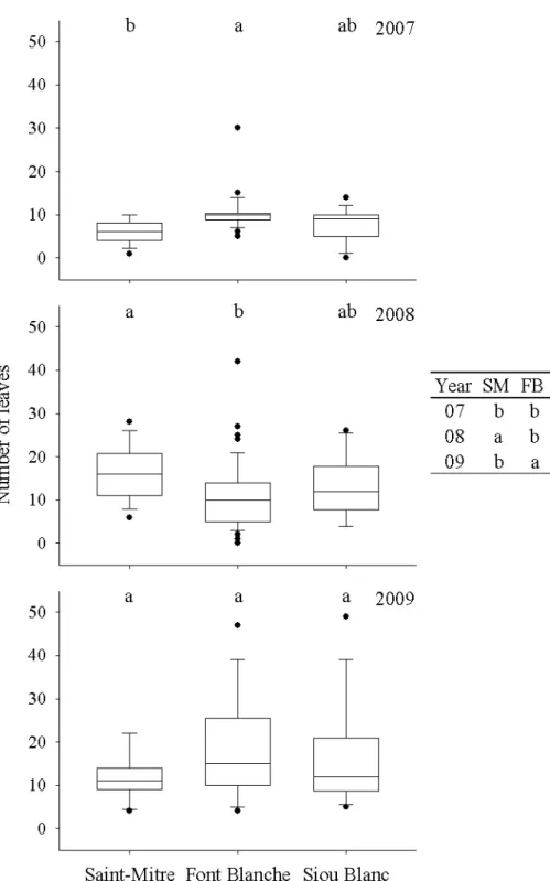 Figure  3.8  Box  plots  of  number  of  leaves  of  holm  oak  at  each  site  from  2007  to  2009  with  whiskers  indicating  the  10 th   and  90 th   percentiles  and  points  indicating  outliers