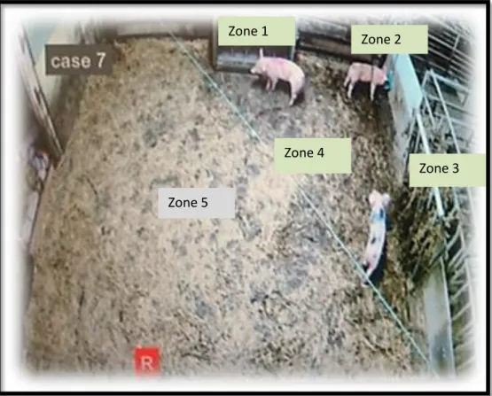 Figure 1 : Photo of the camera recording during post weaning at d43 with the  different zone recorded (Personal source) 