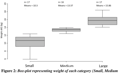 Figure 2: Box-plot representing weight of each category (Small, Medium  and Large) at d42  