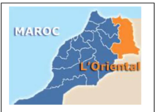 Figure 9 Maroc région de l'orientale 2011. 