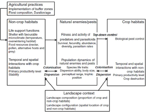 Figure 2 : Principales interactions biotiques entre habitats cultivés et non-cultivés et impacts des pratiques  environnementales sur le contexte paysager (Médiène et al