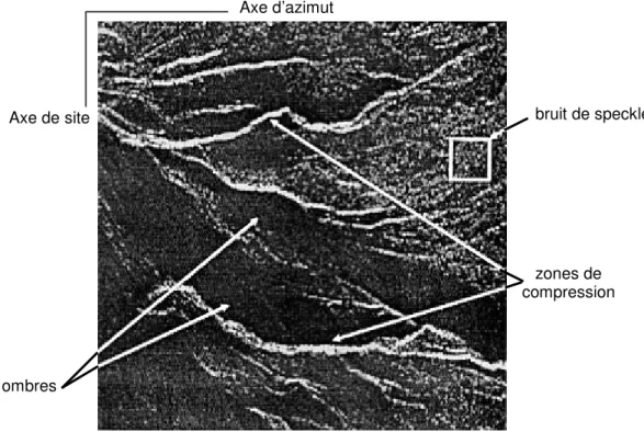 Fig. 3 – Exemple d’une image radar comportant des zones de compression, d’ombres  et un fort chatoiement